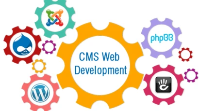 CMS web development